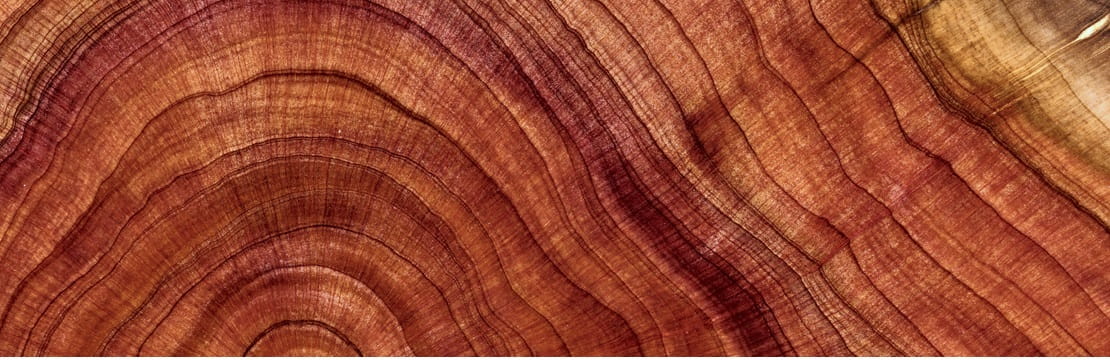 A close-up studio shooting shows details and lots of wood grain on the wood table.